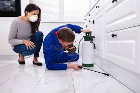 Real Estate Pest Inspections in Lakemont, PA